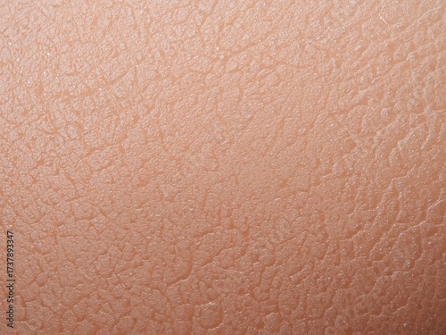 Macro Close-Up of Natural Skin-Like Texture and Pattern: Earthy Brown Surface with Detailed Visual Tonal Shading in Artistic Textile Design