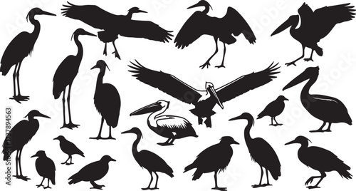 Diverse collection of bird silhouettes majestic waterfowl and majestic flying birds in various poses