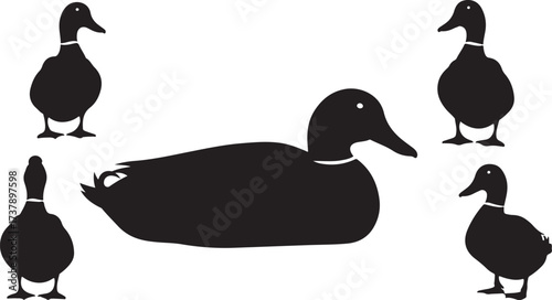 Set of five silhouette ducks in various poses showing profile and standing positions