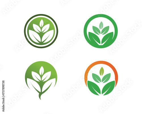 Tree leaf vector logo design, eco-friendly concept.