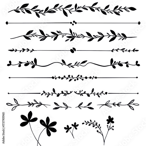 Collection of elegant hand drawn floral dividers, decorative borders, and text separator lines for wedding invitations. isolated PNG with Transparent Background