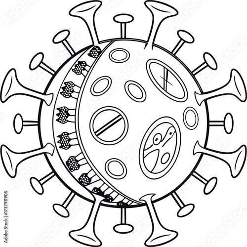 Detailed scientific illustration of a virus particle showcasing its intricate structure and surface spikes, perfect for medical or research contexts.