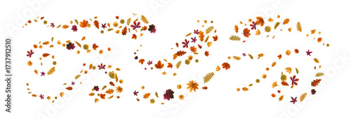 Autumn leaves in swirling motion. Falling and flying foliage in whirl, dynamic vortex, spinning movement, twirling shapes. Fall leaf patterns set. Flat vector illustration isolated on white background