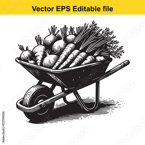 Vector art of wheelbarrow full of fresh vegetables