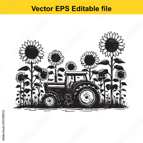 Vector art of tractor in a field of sunflowers
