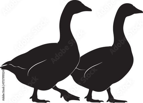 Two silhouette geese walking together side by side in profile view