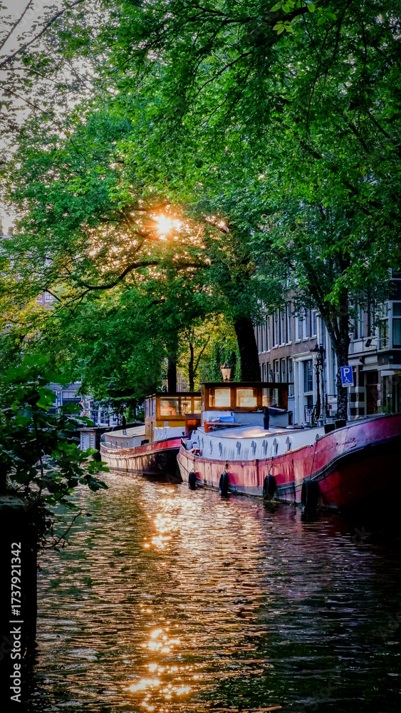 Fototapeta premium Houseboats and greenery along an Amsterdam canal at sunset