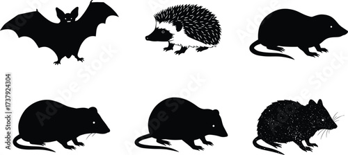 Silhouettes of small mammals, bat hedgehog mole rat mouse shrew, nocturnal wildlife illustration, animal diversity design, forest creatures vector set, cad drawing flat vector illustration