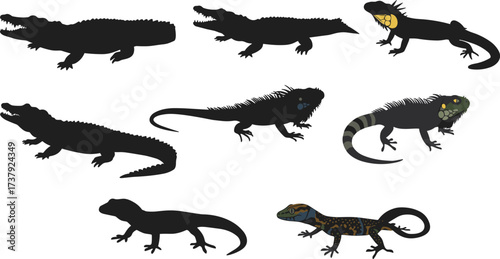 Silhouettes and colorful reptiles, crocodiles and lizards, exotic wildlife illustration, animal diversity, reptile species comparison, nature design, cad drawing flat vector illustration