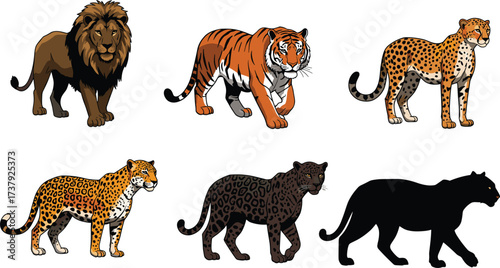 Collection of six big cat illustrations, lion tiger cheetah leopard panther silhouette, cartoon wildlife animal artwork, predator drawing set, cad drawing flat vector illustration