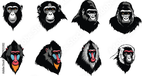 Set of eight primate portraits, chimpanzee gorilla mandrill monkey illustrations, colorful wildlife animal faces, detailed cartoon artwork collection.