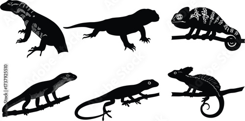 Lizard reptile silhouettes, chameleon on branch, gecko crawling, iguana standing, exotic wildlife design, black vector animal shapes, cad drawing flat vector illustration