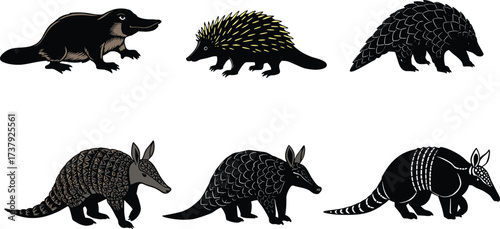 Platypus illustration, echidna drawing, pangolin scales, armadillo shell, exotic mammals, wildlife vector, animal silhouettes, evolutionary species comparison, zoology art.