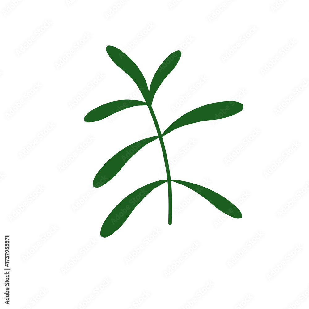 Fototapeta premium Minimalist green foliage branch illustration, elegant botanical plant design