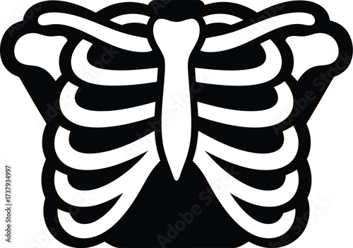 Human rib cage anatomy medical illustration vector art vector