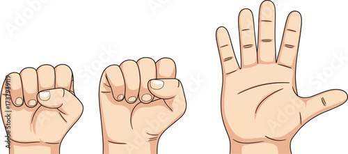 Hand gestures collection, left fist, right fist, open palm, cartoon style anatomy icon, expressive pose set, flat vector illustration