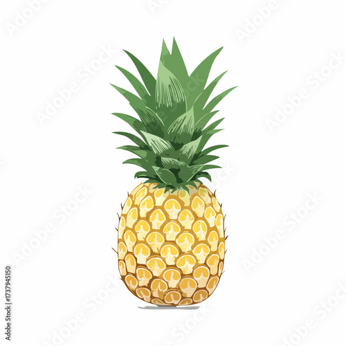 A vibrant, detailed illustration of a ripe pineapple with a crown of green leaves, set against a white background.