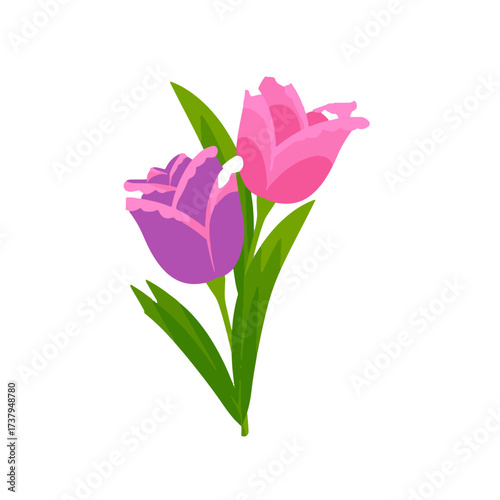 the  most beautiful flower vector