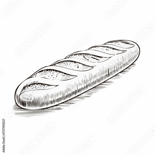 Detailed black and white illustration of a long, crusty baguette, showing texture and shape.