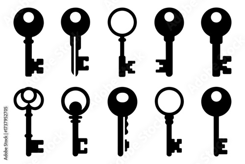 silhouette of   elegant  antique key, lock access security protection