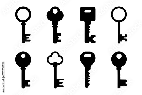silhouette of   elegant  antique key, lock access security protection