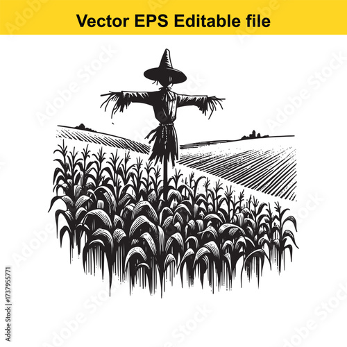 Vector art of scarecrow in a cornfield