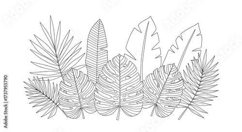 A diverse collection of stylized deciduous and coniferous trees and shrubs depicted in a sketch like outline.