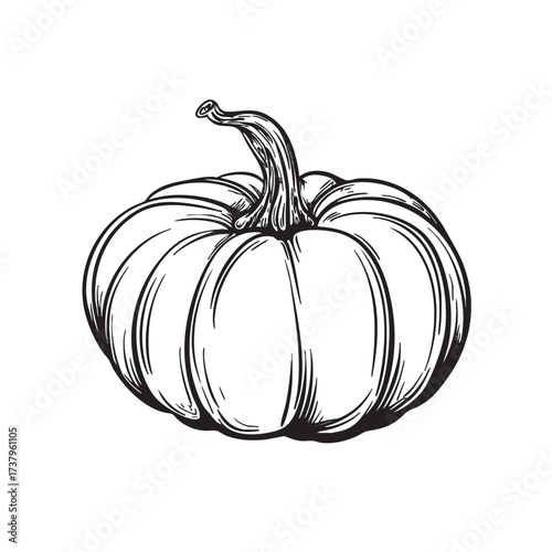 Black and white ink sketch of a plump harvest pumpkin.