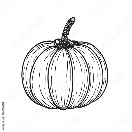 Stylized black and white drawing of a small pumpkin.