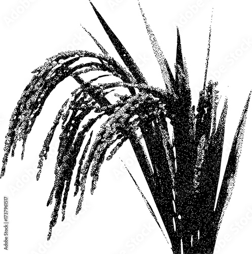 Black and White Illustration of a Rice Plant with Grains and Leaves
