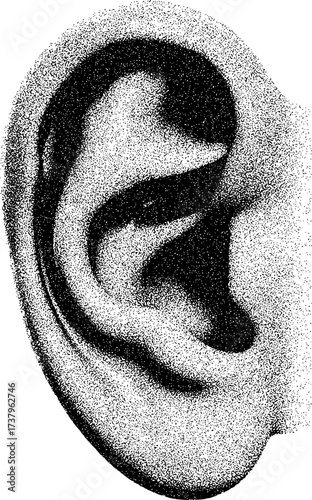 Black and White Stippled Illustration of a Human Ear, Close-Up View