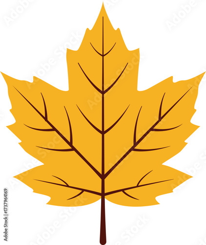 vector illustration of an autumn maple leaf