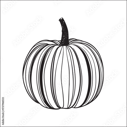 Outlined round pumpkin with thick, textured ribbing.
