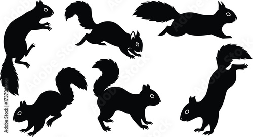 Photos Silhouette squirrels collection, wildlife animal poses, jumping running standing