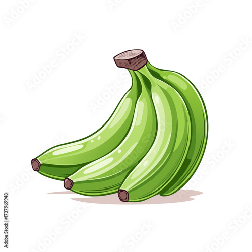 Unripe Green Bananas Bunch Cartoon Icon Fresh Fruit Graphic