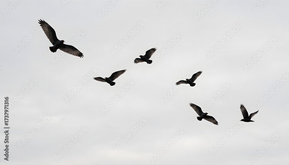 Obraz premium Flock of birds flying together in the sky representing Bird migration 