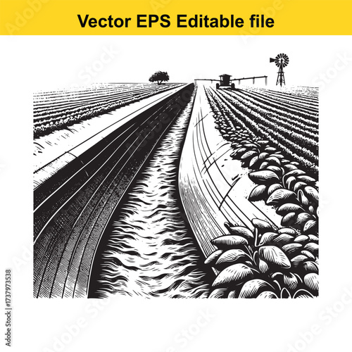 Vector art of irrigation canal flowing through agricultural fields with crops and windmill