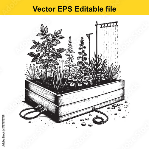 Vector art of raised garden bed with irrigation system