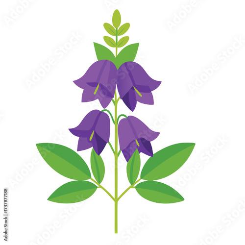 Purple bell shaped flowers with green leaves and stem vector illustration bloom blossom
