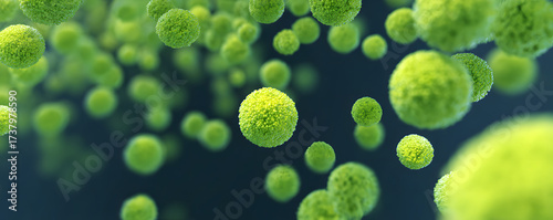 Close-up view of a multitude of spherical, light-green cell structures against a dark blue background. These tiny cell forms, potentially biological or scientific in nature.
