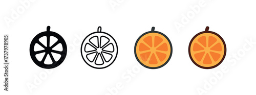 Vector icon orange citrus four styles black solid glyph outline minimal flat multicolor filled cartoon flat shaded.