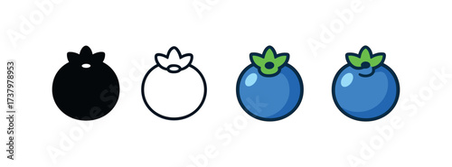 Vector icon blueberry four styles black solid glyph outline minimal flat multicolor filled cartoon flat shaded.