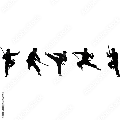 Martial artist performing various stances with weapon silhouette on white