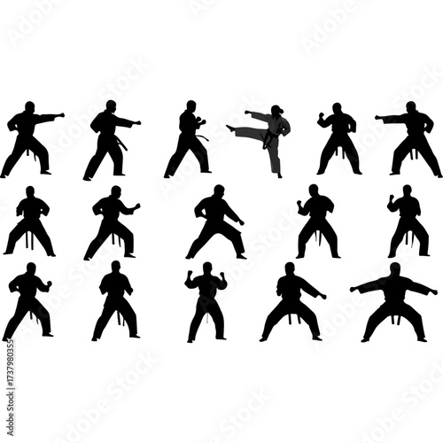Karate practitioners in various stances, black silhouettes on white