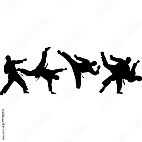 Karate practitioners performing various martial arts moves in silhouette