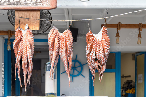 Fresh octopus hanging to dry outdoors in front of a seaside restaurant.