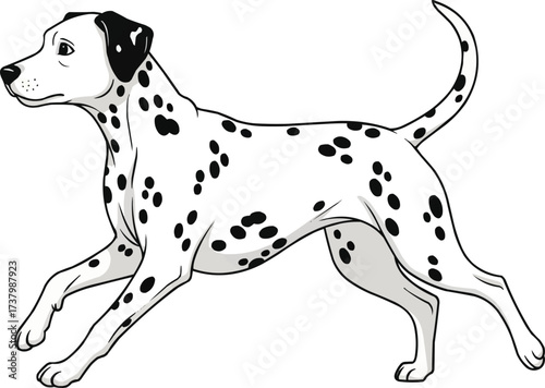 Dalmatian dog running playful cute vector illustration