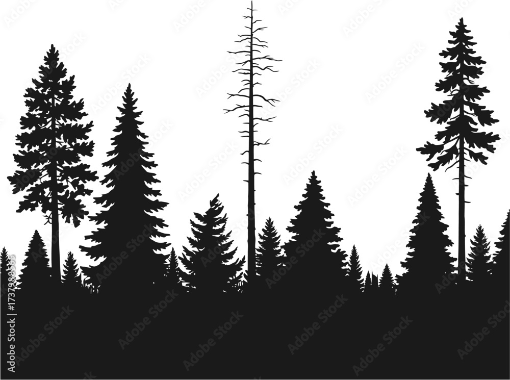 Fototapeta premium Tree Forest Silhouette Vector Illustration