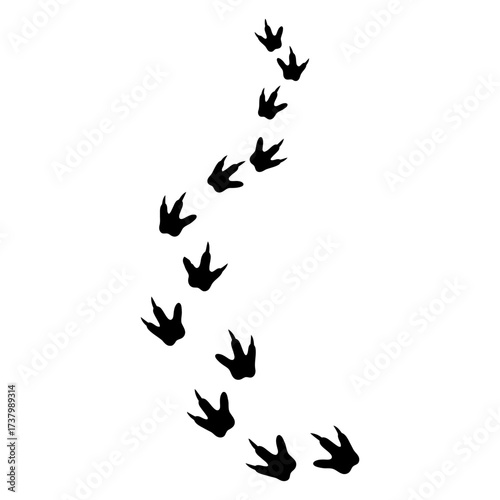 Footprint Dinosaur Silhouette Vector Illustration