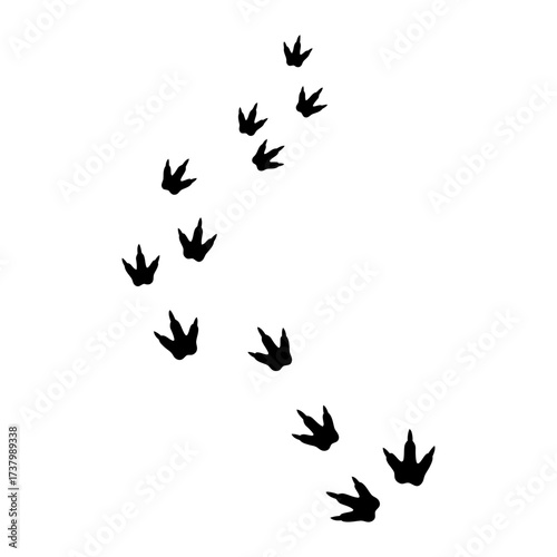 Footprint Dinosaur Silhouette Vector Illustration